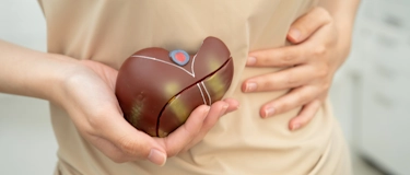 Модель печінки біля живота пацієнта як ілюстрація гастроентерологічної консультації, оцінки симптомів і підбору лікування